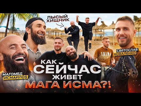 Видео: Как живет Мага Исма? / После боя с Минеевым / «Лысый Хищник» и его миллиарды