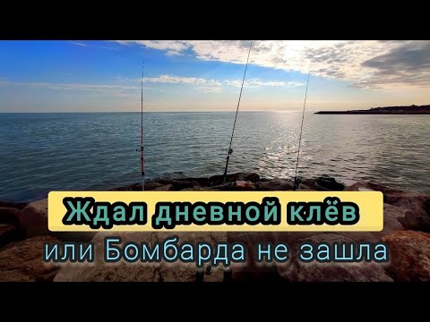 Видео: А клёв случился вечером!!!