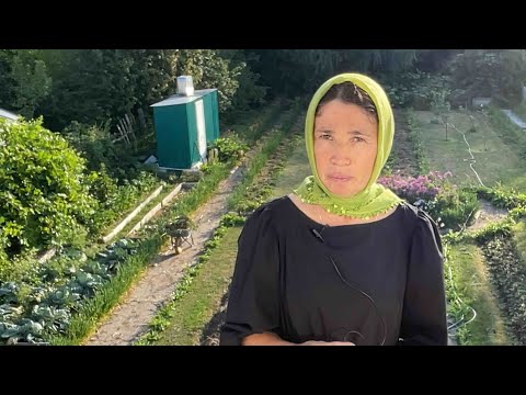 Видео: Завершение огородного сезона