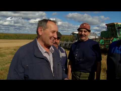 Видео: Дороги деревенские 03.07.22