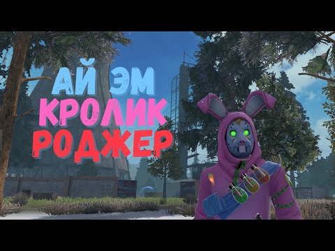 Видео: Соло  выживание на просторах Стандарта/Solo journey on standard #LDRS #LIOS #LastDayRulesSurvival