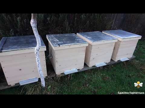 Видео: Медова пасіка готова🍯🐝🍯