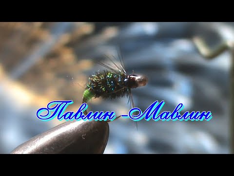 Видео: Павлин-Мавлин