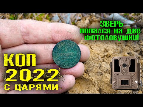 Видео: ПЕРВЫЙ КОП 2022. КОПАЮ МЕДЬ, НАШЁЛ ЦАРСКИЕ МОНЕТЫ. ЗВЕРЬ ПОПАЛСЯ на ФОТОЛОВУШКУ! ИНТЕРЕСНЫЙ КОП ...