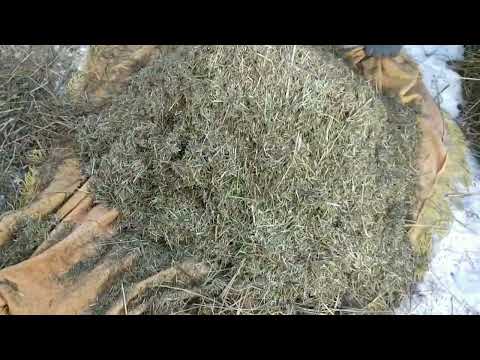 Видео: Видео для Авито. Продается сенорезка (траворезка).