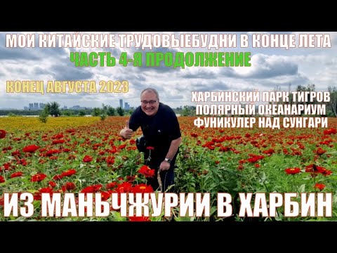 Видео: Китай сейчас. Из Маньчжурии в Харбин 哈尔滨 .Продолжение. Часть 4 я  Август 2023