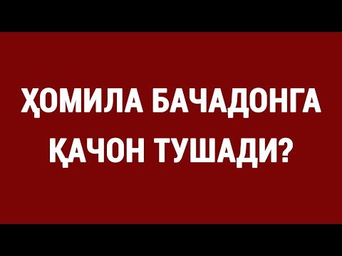 Видео: Ҳомила бачадонга қачон тушади? | When does the fetus enter the uterus?