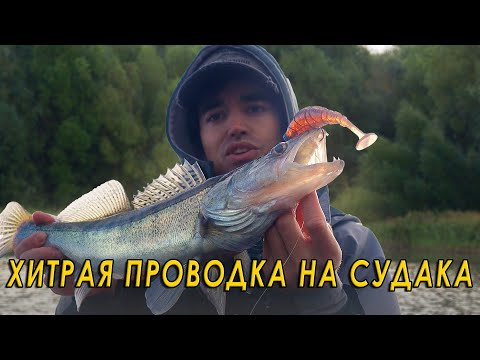 Видео: Судаки не устоят перед такой проводкой! Рыбалка на спиннинг с каяка.