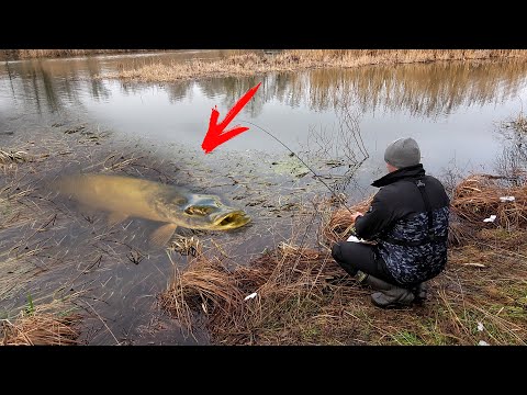 Видео: Рыбалка на УЛЬТРАЛАЙТ ВЕСНОЙ в марте!!! СРАЗУ ПОПАЛ на ЩУКУ... Ловля ЩУКИ и ОКУНЯ на микроджиг