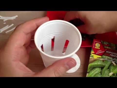 Видео: ВЫРАЩИВАНИЕ СЕМЯН И РАССАДЫ В ГИДРОПОНИКЕ