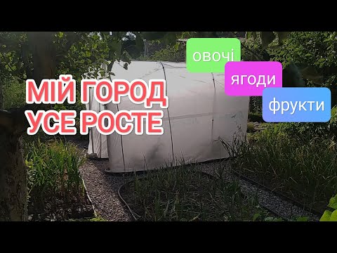 Видео: Мій ГОРОД усе росте