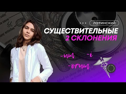 Видео: Существительные 2 склонения