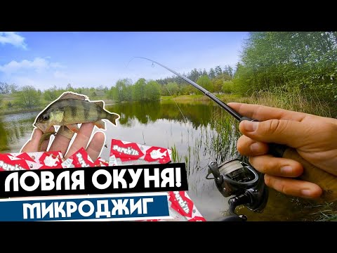 Видео: СПОРИМ, ловить ОКУНЯ легко? Микроджиг, ультралайт!