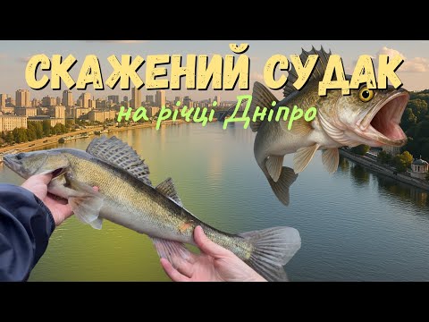 Видео: Вечірня рибалка на Дніпрі!🐟СУДАК ВЛУПИВ, ЯК З ГАРМАТИ!💥