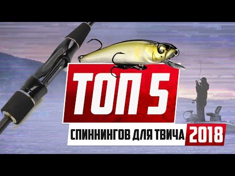 Видео: 5 ЛУЧШИХ БЮДЖЕТНЫХ СПИННИНГОВ ДЛЯ ТВИЧА 2018 года