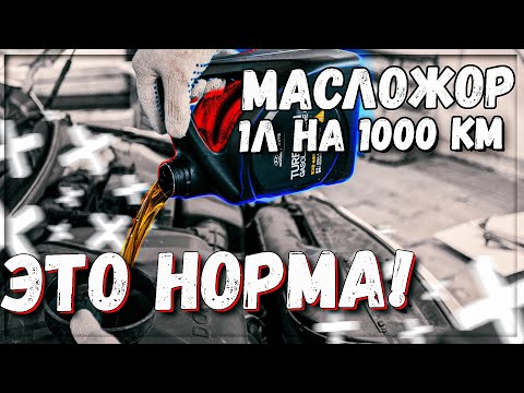 Видео: G4NA проблемы двигателя Hyundai I-40 масложор