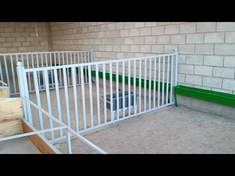 Видео:  Мухидин акенин жаңы Арашан сарайы кызыккандар үчүн.