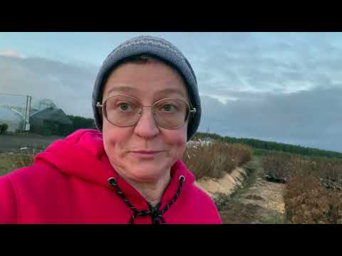 Видео: Реалити-шоу «Будни начинающего питомниковода» – Работа питомника изнутри. Часть 19.