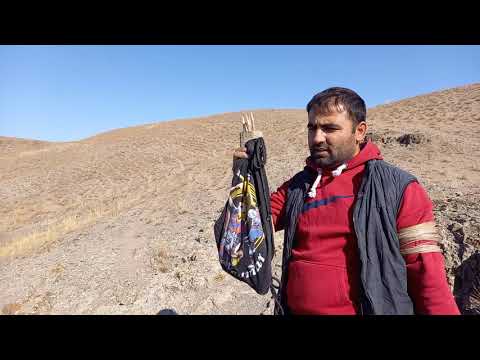 Видео: Охота кеклики