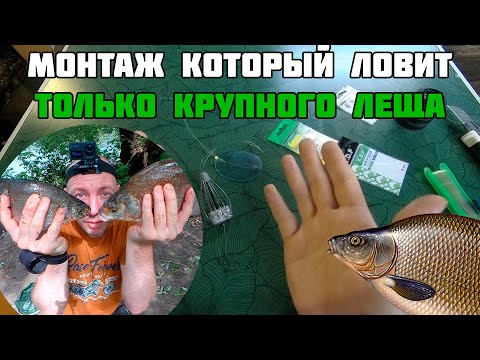 Видео: Оснастка, которая ловит КРУПНОГО ЛЕЩА  Лучшая донная снасть для ловли леща на реке  Монтаж на леща