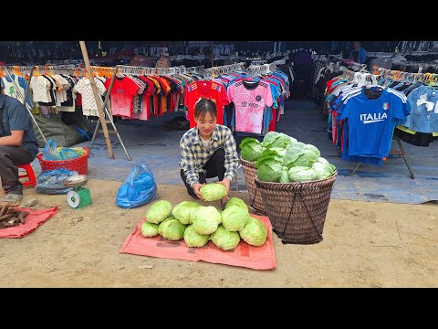 Видео: Сбор капусты с грядки для продажи на рынке. Кулинария - фермерская жизнь/ Loan Bushcraft.