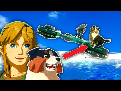 Видео: Что произойдет, если взять собаку на ПЛЯЖ?