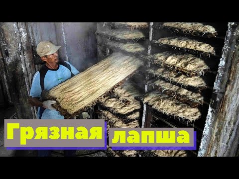Видео: Грязная лапша из Индонезии | Как это сделано