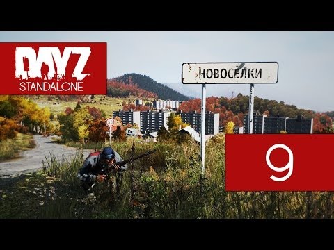 Видео: Встреча в новом (DayZ) #9