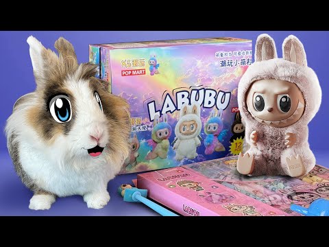 Видео: БОЛЬШАЯ распаковка ЛАБУБУ! СЕКРЕТНАЯ LABUBU? Back to school