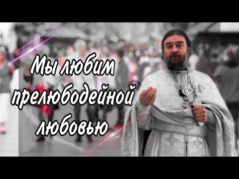 Видео: Не хорошо давать хлеб псам, забрав у детей. Протоиерей  Андрей Ткачёв.