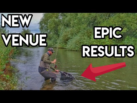 Видео: Исследуем новые водоёмы — УДИВИТЕЛЬНАЯ ловля форели и хариуса нахлыстом на реках Великобритании