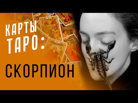 Видео: СКОРПИОН - плюсы и минусы / Астропсихология и карты Таро S01E08