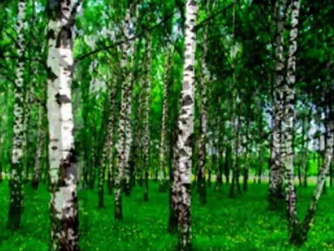 Видео: 🔳 СПРАТ Пахне чабор (рок-версія)