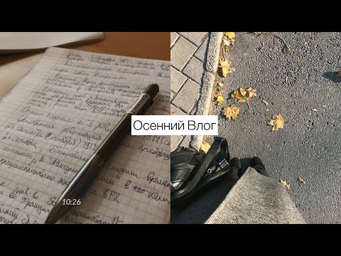 Видео: Осенний влог| день в музыкальном колледже