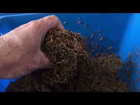 Видео: Ферментация Табака 