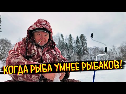 Видео: КАК НЕ ПОЙМАТЬ РЫБУ ЗА 5 ЧАСОВ: ЗИМНЯЯ КЛАССИКА!