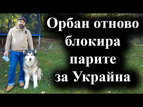 Видео: Унгарският премиер се опитва да помогне във вота на Тръмп – 15.10.2024 г.