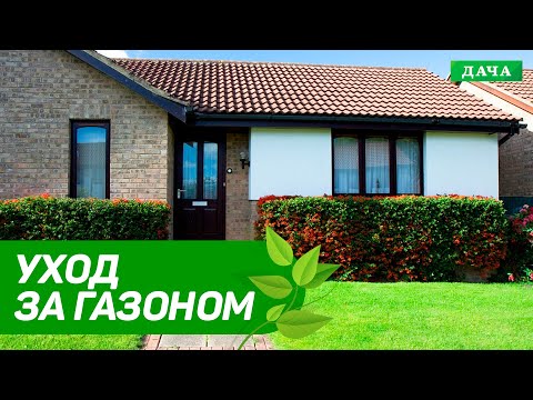 Видео: Уход за газоном после зимы