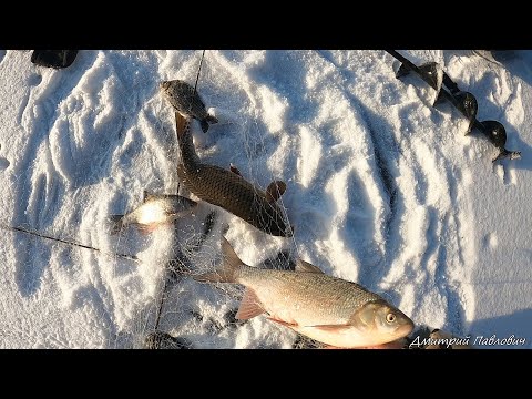 Видео: ЭТО ШОК!!! ХАПУГИ ТРЕЩАТ! РЫБА НЕ ЛЕЗЕТ В ЛУНКИ! ЭТА РЫБАЛКА СДЕЛАЛА МОЙ ДЕНЬ! Рыбалка на хапуги!