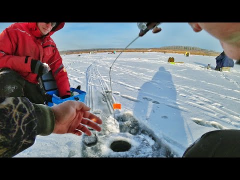 Видео: МУЖИК, ДА НА ЧТО ТЫ ЛОВИШЬ? ПЕРВЫЙ ЛЁД БЕЗМОТЫЛКА МОРМЫШ