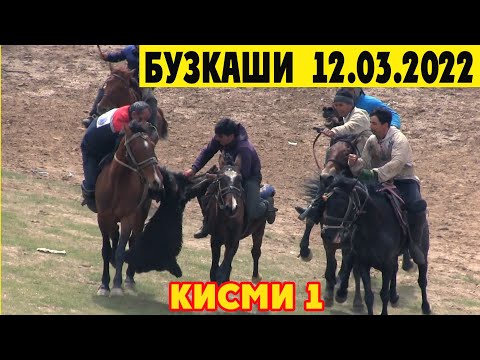 Видео: БУЗКАШИ ГИЗАЛА ДАР ФАРХОР 12.03.2022
