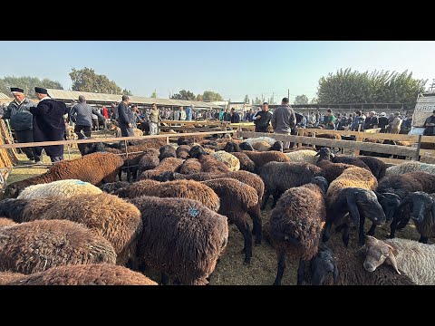 Видео: Шанбе бозор нархи гусфанд ва дигарчизо 25 октября 2025 г.
