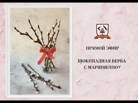 Видео: Бонус. Шоколадная верба с маршмеллоу