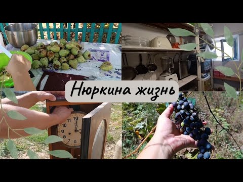 Видео: Простая жизнь в станице // Легкий бытовой влог // Кубань // Нюркина жизнь