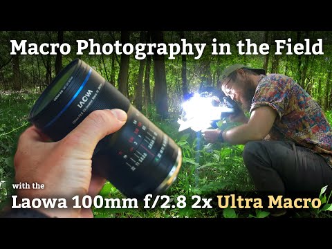 Видео: Макросъемка в полевых условиях с LAOWA 100mm 2x Ultra Macro