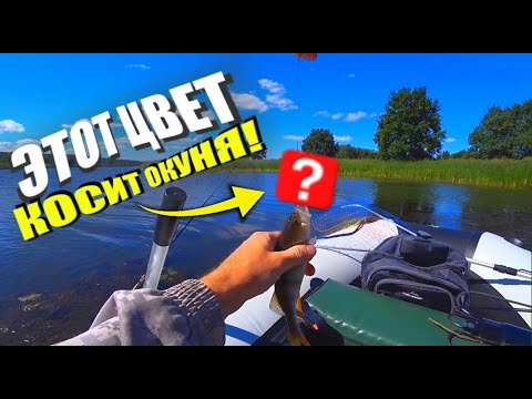 Видео: Блесна mepps в этом цвете просто косит окуня! Рыбалка на спиннинг.   Окунь на каждом забросе!