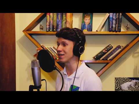 Видео: pravada - город (Cover Егор Брюханов, Киселёв Даниил и кошка)