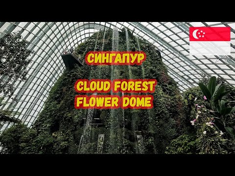 Видео: Джунгли под куполом. Сады у залива и шоу фонтанов