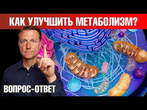 Видео: Коренная причина проблем с метаболизмом – это...