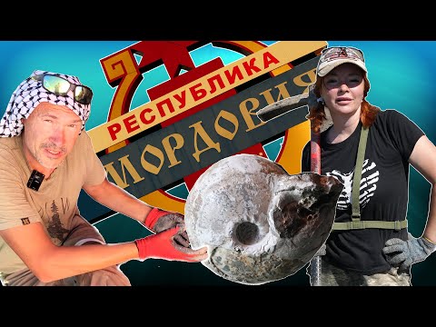 Видео: РЕДКИЕ АММОНИТЫ | ЭКСПЕДИЦИЯ В МОРДОВИЮ | Часть 1